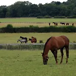 Cliff Stud Retreat - Luxury And Cosy *