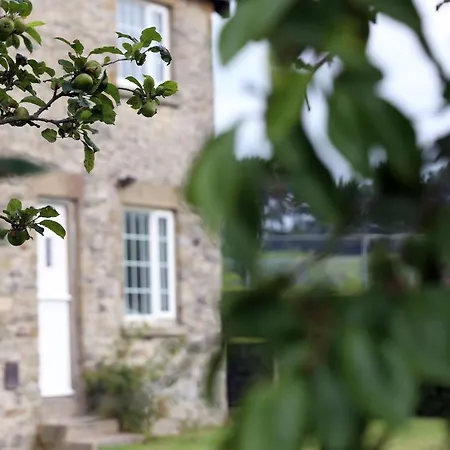 Cliff Stud Retreat - Luxury And Cosy 캠프장 헴슬리