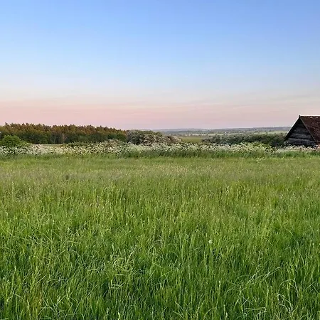 캠프장 Cliff Stud Retreat - Luxury And Cosy