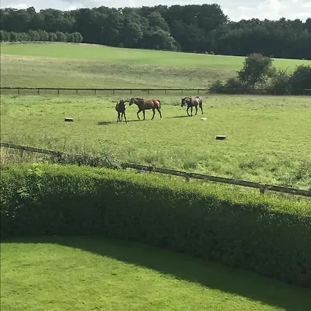 Cliff Stud Retreat - Luxury And Cosy *