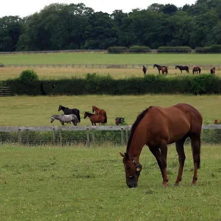 Cliff Stud Retreat - Luxury And Cosy *